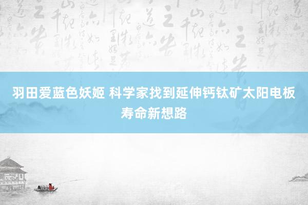 羽田爱蓝色妖姬 科学家找到延伸钙钛矿太阳电板寿命新想路