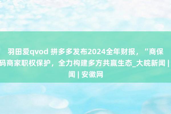 羽田爱qvod 拼多多发布2024全年财报，“商保会”加码商家职权保护，全力构建多方共赢生态_大皖新闻 | 安徽网