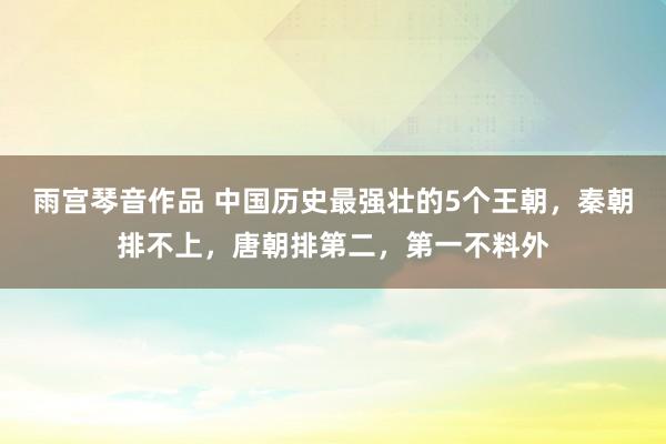 雨宫琴音作品 中国历史最强壮的5个王朝，秦朝排不上，唐朝排第二，第一不料外