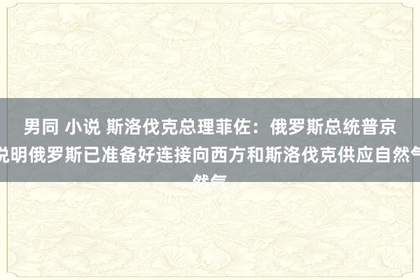 男同 小说 斯洛伐克总理菲佐：俄罗斯总统普京说明俄罗斯已准备好连接向西方和斯洛伐克供应自然气