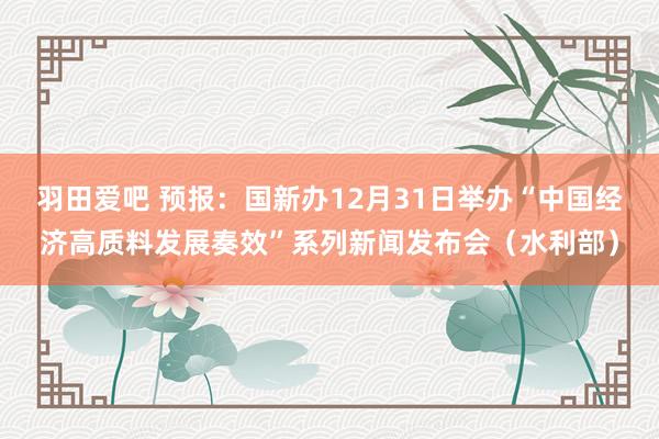羽田爱吧 预报：国新办12月31日举办“中国经济高质料发展奏效”系列新闻发布会（水利部）