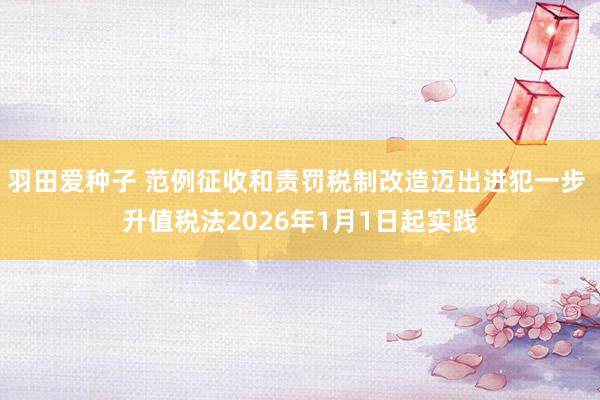 羽田爱种子 范例征收和责罚税制改造迈出进犯一步 升值税法2026年1月1日起实践
