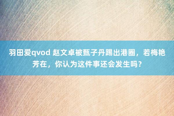 羽田爱qvod 赵文卓被甄子丹踢出港圈，若梅艳芳在，你认为这件事还会发生吗？