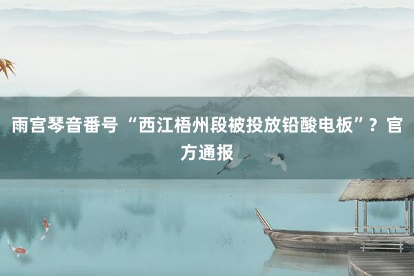 雨宫琴音番号 “西江梧州段被投放铅酸电板”？官方通报