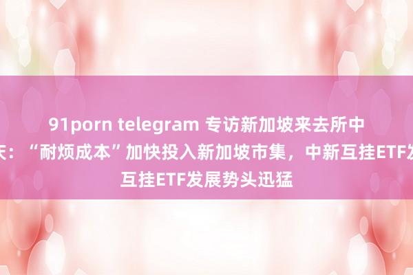 91porn telegram 专访新加坡来去所中国区主席陈庆：“耐烦成本”加快投入新加坡市集，中新互挂ETF发展势头迅猛