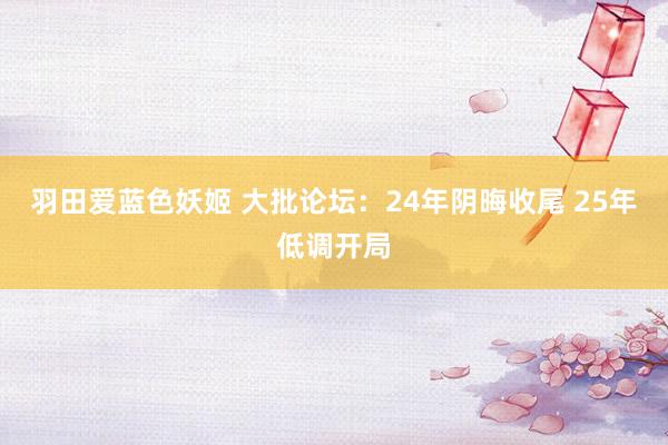 羽田爱蓝色妖姬 大批论坛：24年阴晦收尾 25年低调开局