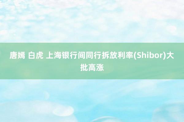 唐嫣 白虎 上海银行间同行拆放利率(Shibor)大批高涨