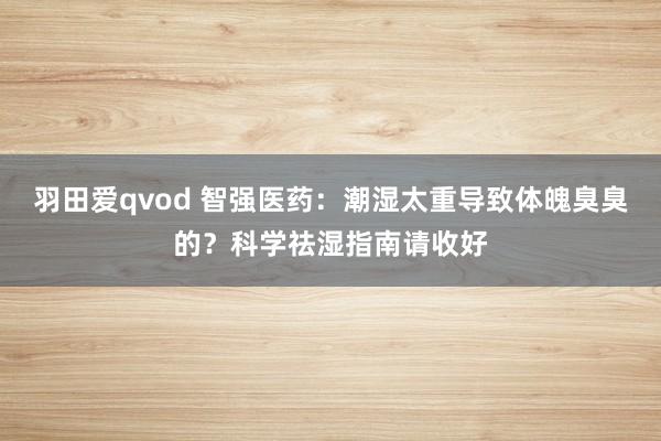 羽田爱qvod 智强医药：潮湿太重导致体魄臭臭的？科学祛湿指南请收好