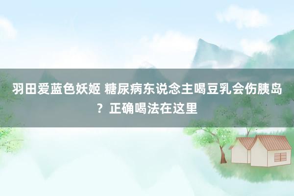 羽田爱蓝色妖姬 糖尿病东说念主喝豆乳会伤胰岛？正确喝法在这里