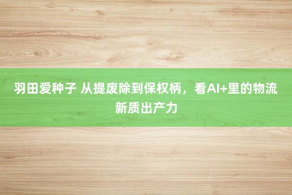 羽田爱种子 从提废除到保权柄，看AI+里的物流新质出产力