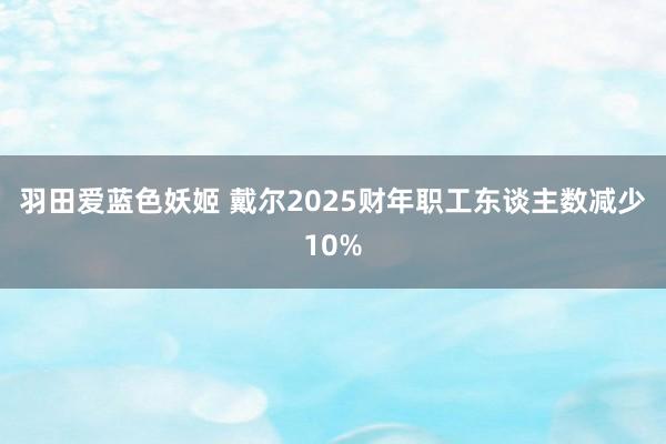 羽田爱蓝色妖姬 戴尔2025财年职工东谈主数减少10%