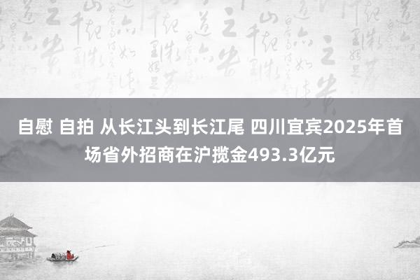 自慰 自拍 从长江头到长江尾 四川宜宾2025年首场省外招商在沪揽金493.3亿元