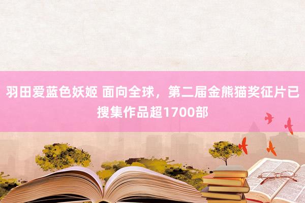 羽田爱蓝色妖姬 面向全球，第二届金熊猫奖征片已搜集作品超1700部