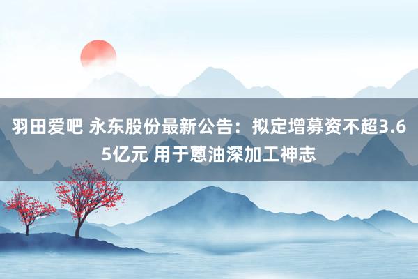 羽田爱吧 永东股份最新公告：拟定增募资不超3.65亿元 用于蒽油深加工神志