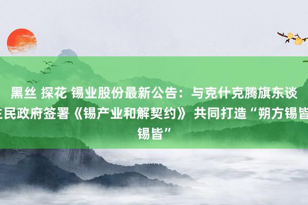 黑丝 探花 锡业股份最新公告：与克什克腾旗东谈主民政府签署《锡产业和解契约》 共同打造“朔方锡皆”