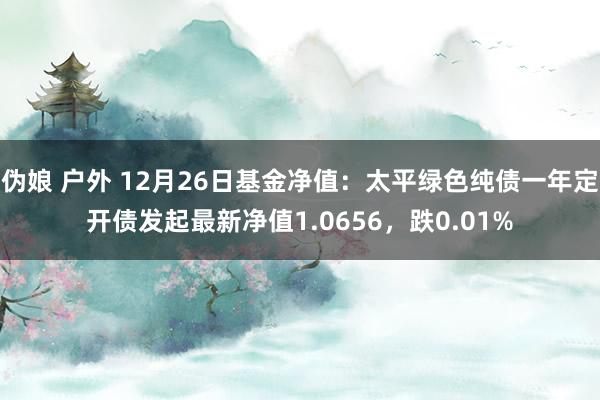 伪娘 户外 12月26日基金净值：太平绿色纯债一年定开债发起最新净值1.0656，跌0.01%