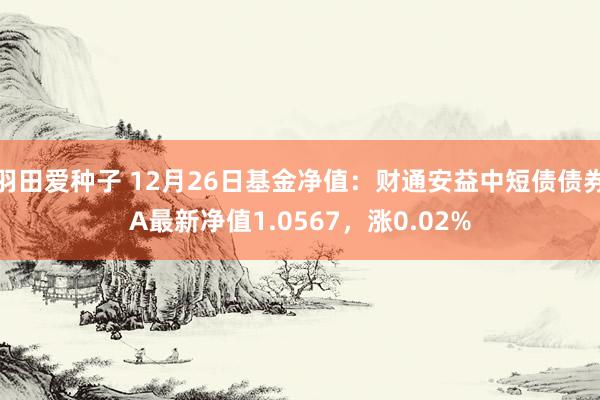 羽田爱种子 12月26日基金净值：财通安益中短债债券A最新净值1.0567，涨0.02%