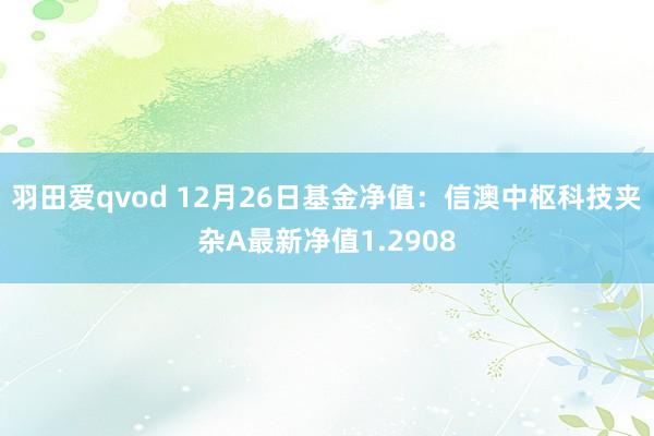 羽田爱qvod 12月26日基金净值：信澳中枢科技夹杂A最新净值1.2908