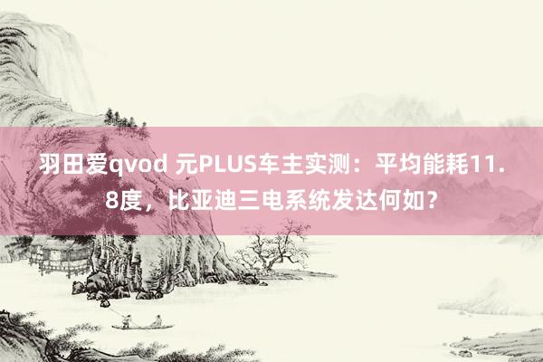 羽田爱qvod 元PLUS车主实测：平均能耗11.8度，比亚迪三电系统发达何如？