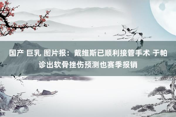 国产 巨乳 图片报：戴维斯已顺利接管手术 于帕诊出软骨挫伤预测也赛季报销