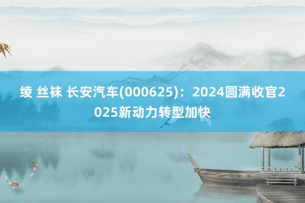 绫 丝袜 长安汽车(000625)：2024圆满收官2025新动力转型加快