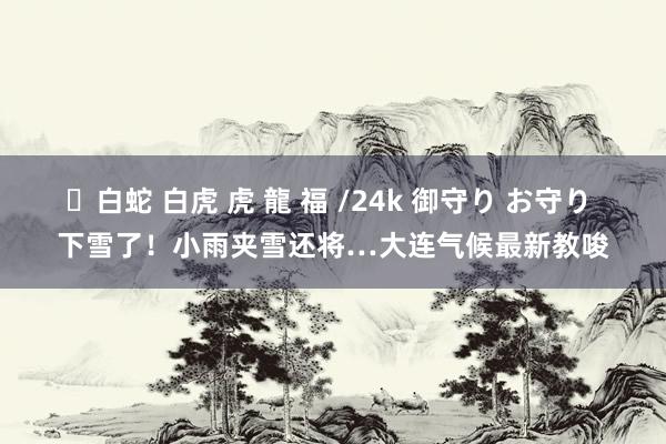 ✨白蛇 白虎 虎 龍 福 /24k 御守り お守り 下雪了！小雨夹雪还将…大连气候最新教唆