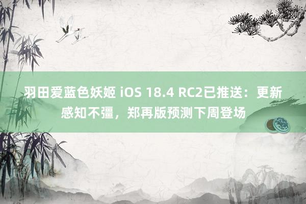 羽田爱蓝色妖姬 iOS 18.4 RC2已推送：更新感知不彊，郑再版预测下周登场