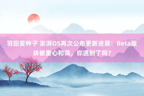 羽田爱种子 澎湃OS再次公布更新进展：Beta版块被重心和蔼，你遇到了吗？