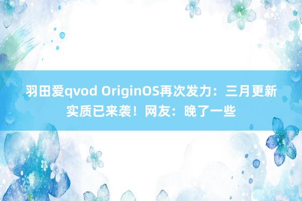 羽田爱qvod OriginOS再次发力：三月更新实质已来袭！网友：晚了一些