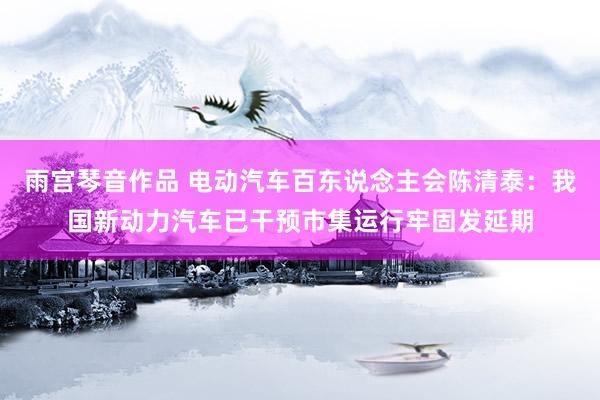 雨宫琴音作品 电动汽车百东说念主会陈清泰：我国新动力汽车已干预市集运行牢固发延期