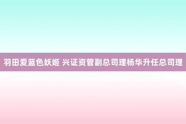 羽田爱蓝色妖姬 兴证资管副总司理杨华升任总司理