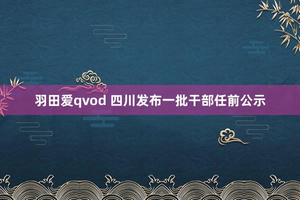 羽田爱qvod 四川发布一批干部任前公示