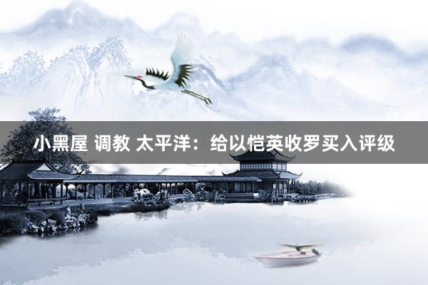 小黑屋 调教 太平洋：给以恺英收罗买入评级