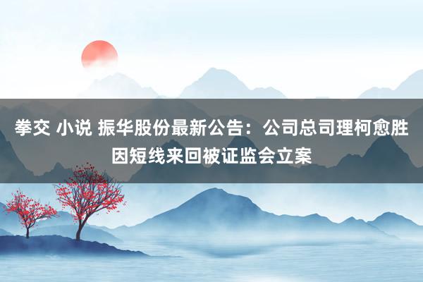 拳交 小说 振华股份最新公告：公司总司理柯愈胜因短线来回被证监会立案