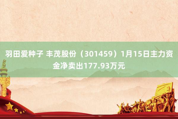 羽田爱种子 丰茂股份（301459）1月15日主力资金净卖出177.93万元