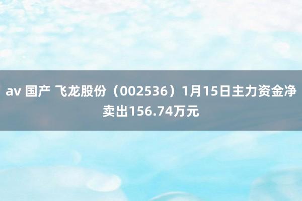 av 国产 飞龙股份（002536）1月15日主力资金净卖出156.74万元