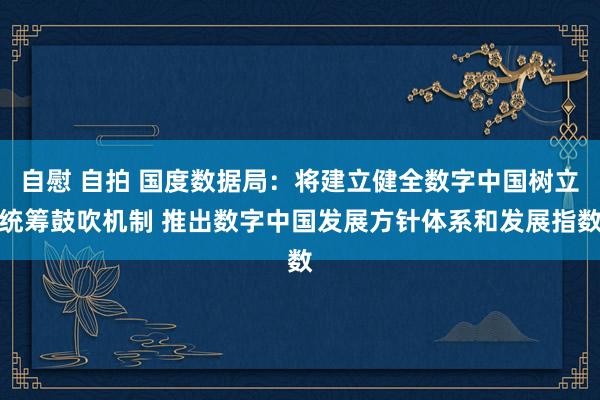自慰 自拍 国度数据局：将建立健全数字中国树立统筹鼓吹机制 推出数字中国发展方针体系和发展指数