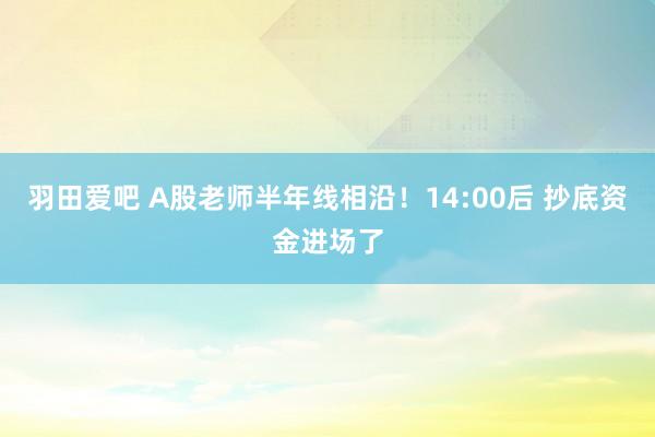 羽田爱吧 A股老师半年线相沿！14:00后 抄底资金进场了