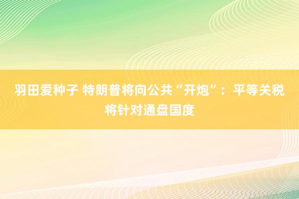 羽田爱种子 特朗普将向公共“开炮”：平等关税将针对通盘国度