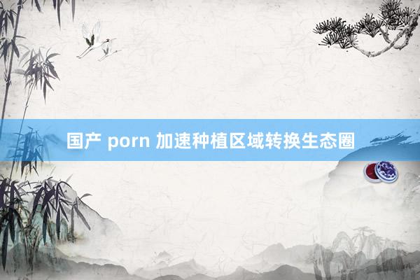 国产 porn 加速种植区域转换生态圈