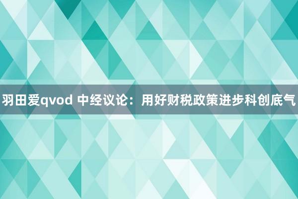 羽田爱qvod 中经议论：用好财税政策进步科创底气