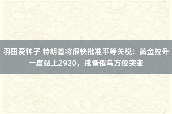 羽田爱种子 特朗普将很快批准平等关税！黄金拉升一度站上2920，戒备俄乌方位突变