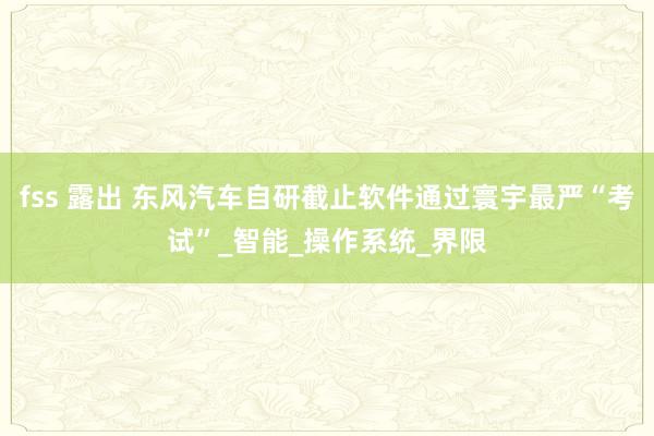 fss 露出 东风汽车自研截止软件通过寰宇最严“考试”_智能_操作系统_界限