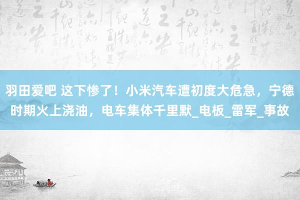 羽田爱吧 这下惨了！小米汽车遭初度大危急，宁德时期火上浇油，电车集体千里默_电板_雷军_事故