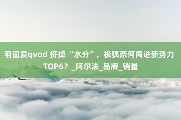 羽田爱qvod 挤掉 “水分”，极狐奈何闯进新势力 TOP6？_阿尔法_品牌_销量