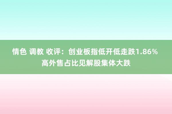 情色 调教 收评：创业板指低开低走跌1.86% 高外售占比见解股集体大跌