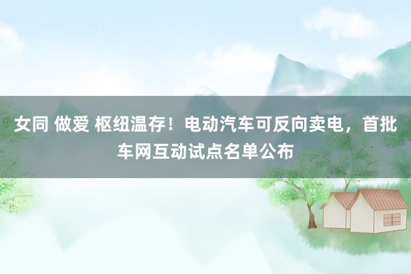 女同 做爱 枢纽温存！电动汽车可反向卖电，首批车网互动试点名单公布