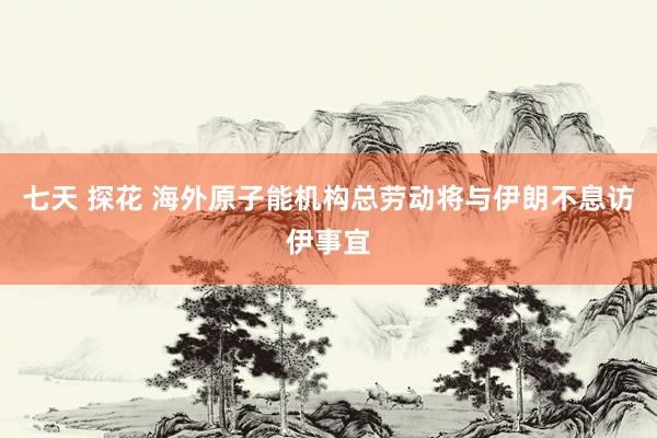 七天 探花 海外原子能机构总劳动将与伊朗不息访伊事宜