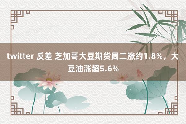twitter 反差 芝加哥大豆期货周二涨约1.8%，大豆油涨超5.6%