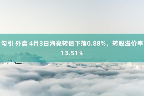 勾引 外卖 4月3日海亮转债下落0.88%，转股溢价率13.51%